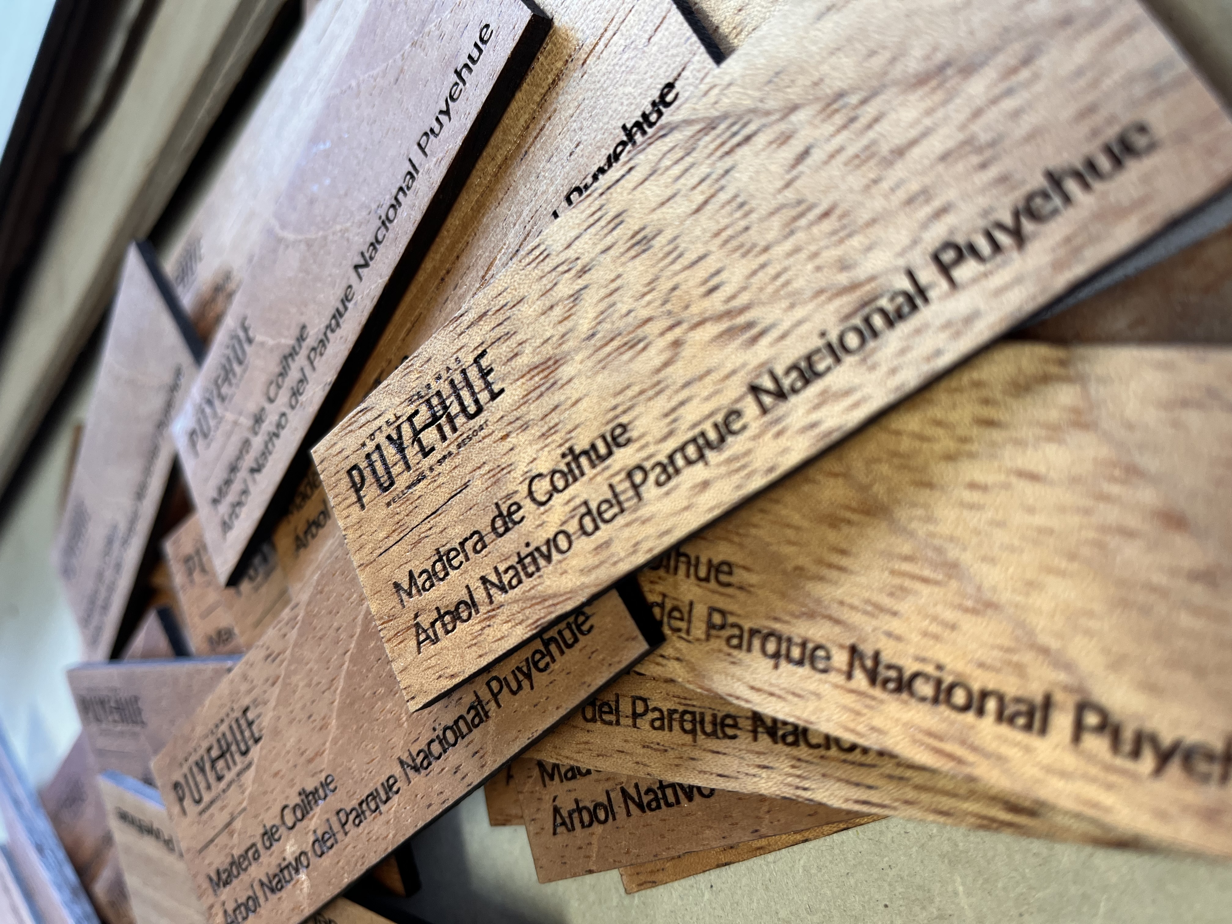 Placas de Coihue grabadas con láser para Parque Nacional Puyehue